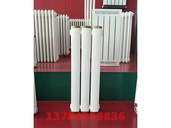 7063钢制柱型（1）